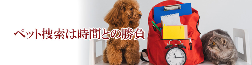 【金沢市　探偵】子ども見守り調査｜金沢市で子ども見守り調査で探偵をお探しならスマイルエージェント金沢にお任せください。