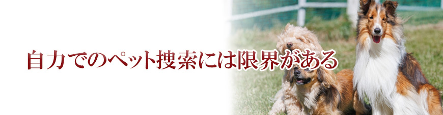 【金沢市　探偵】子ども見守り調査｜金沢市で子ども見守り調査で探偵をお探しならスマイルエージェント金沢にお任せください。
