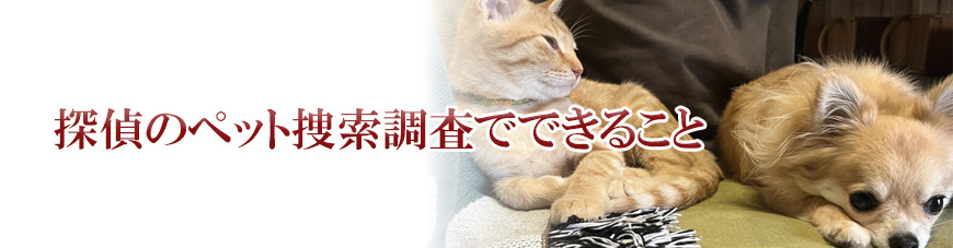 【金沢市　探偵】子ども見守り調査｜金沢市で子ども見守り調査で探偵をお探しならスマイルエージェント金沢にお任せください。